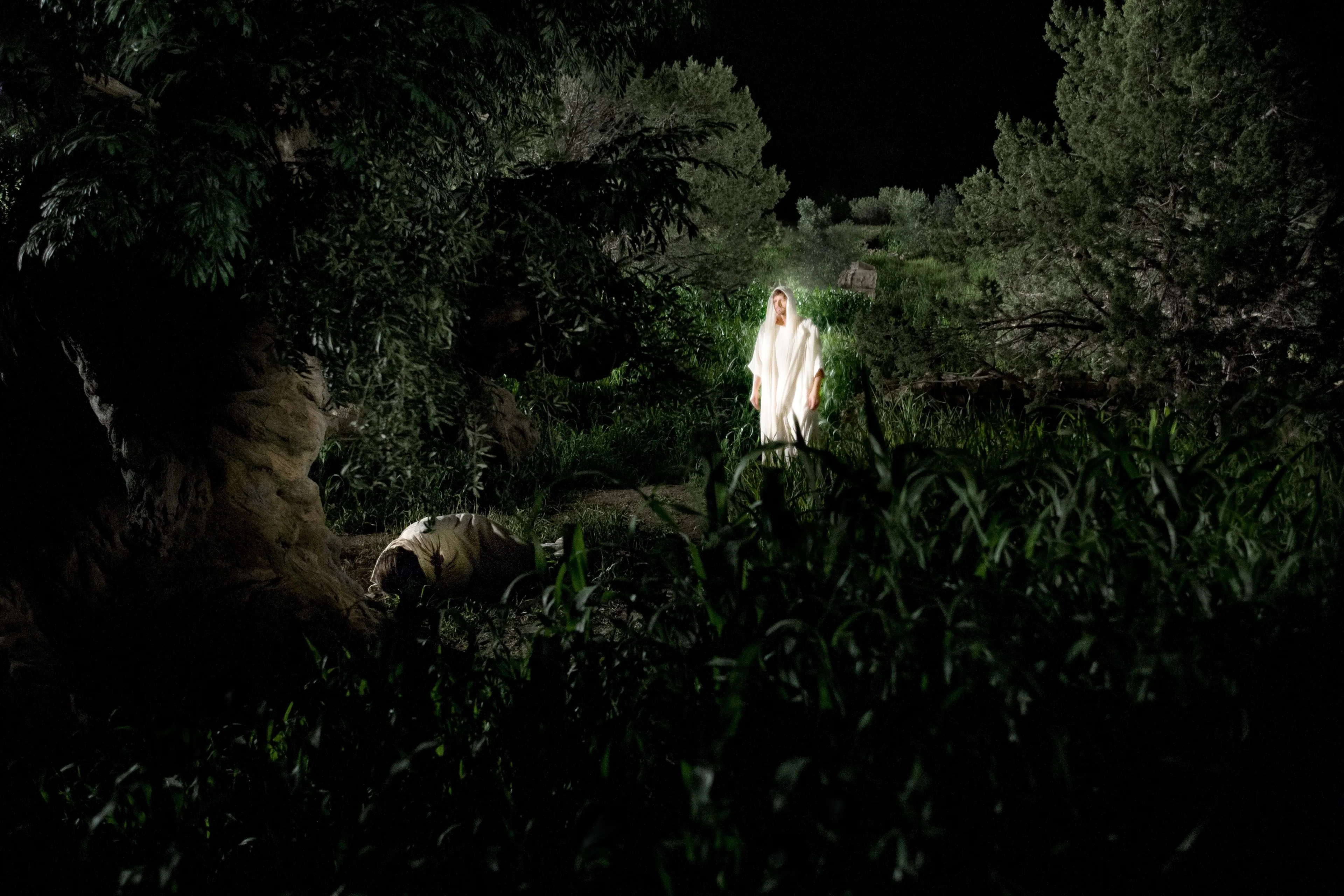 An angel appears to Christ in the Garden of Gethsemane.