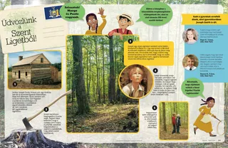 Hello from the Sacred Grove