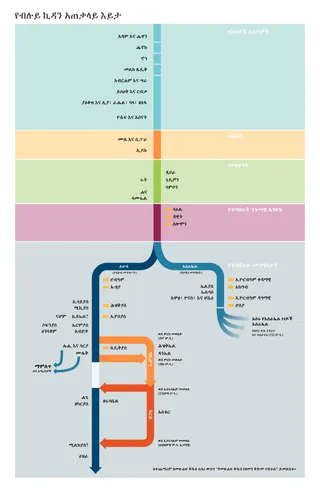 የብሉይ ኪዳን አጠቃላይ እይታ ገበታ