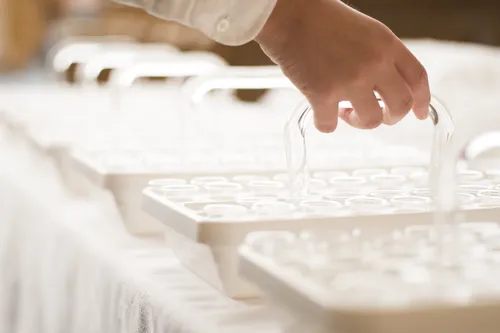 男女領受聖餐盤中的麵包