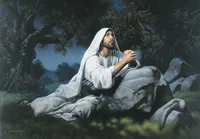 〔『わが父よ』の画像〕