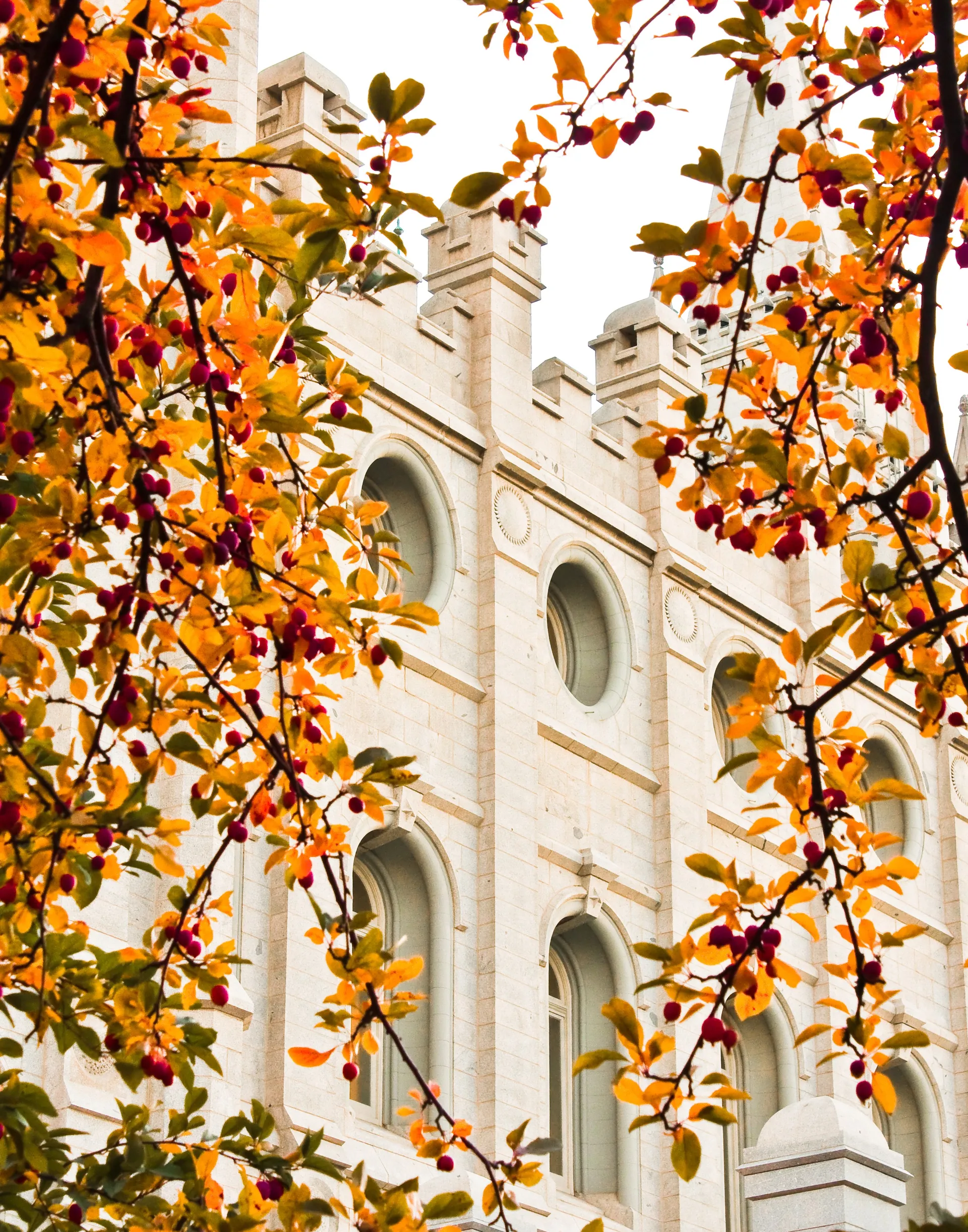 The Salt Lake Temple, including the windows and scenery.