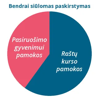 Bendrai siūlomo balanso schema