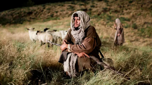 mga magbalantay sa karnero ug karnero