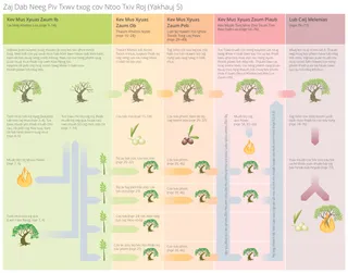 daim duab txog zaj dab neeg piv txwv txog tus ntoo txiv roj