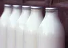Milk