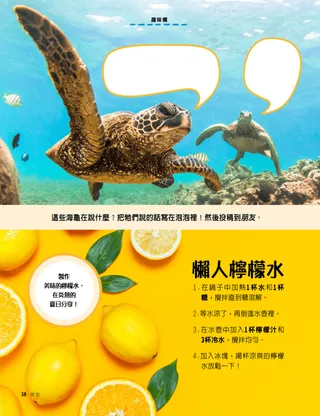 海龜照片和檸檬照片
