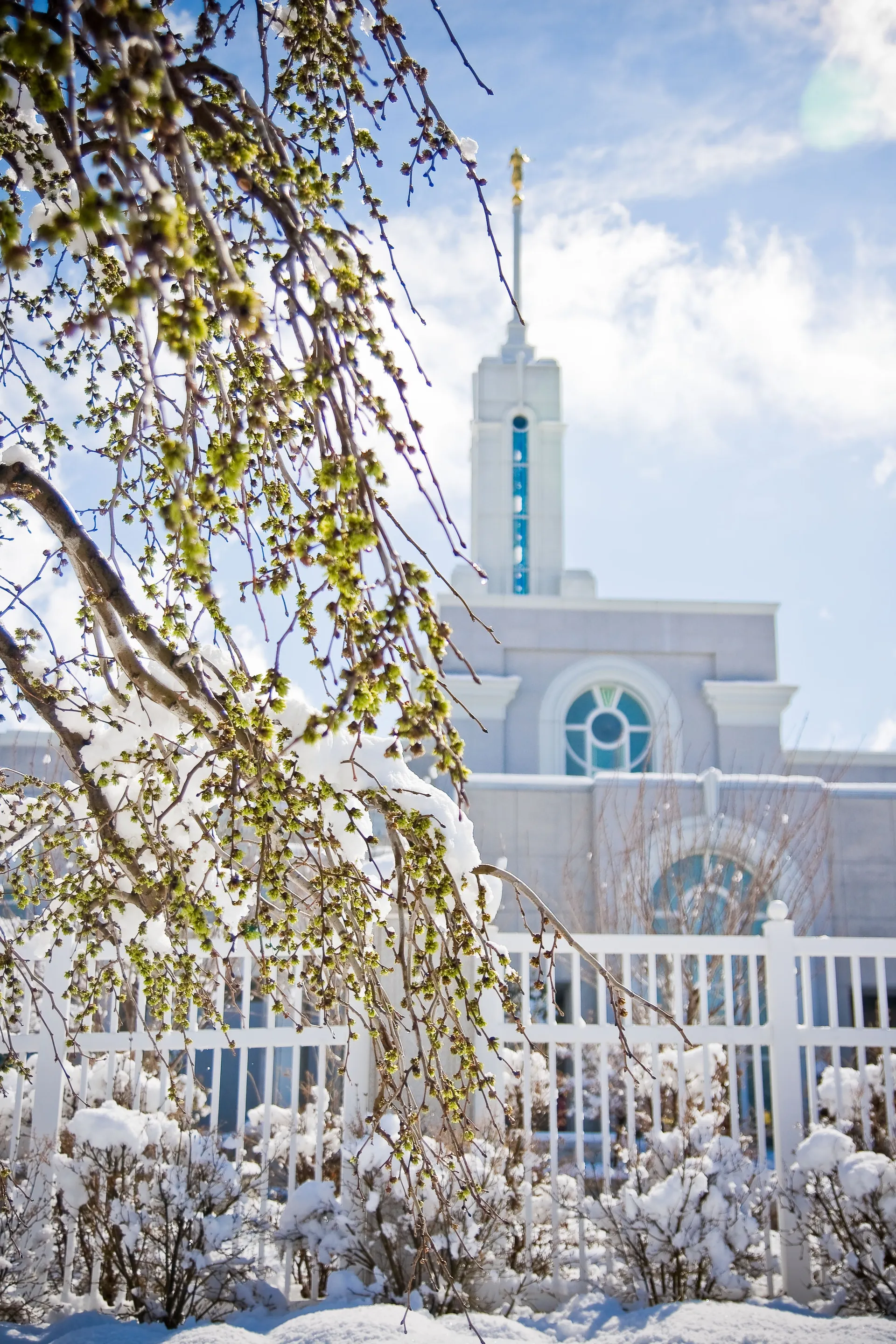 The Mount Timpanogos Utah Temple in the winter, including scenery.