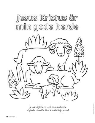 färgläggningssida med får