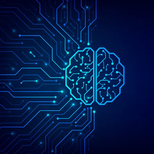 computer circuit and a brain