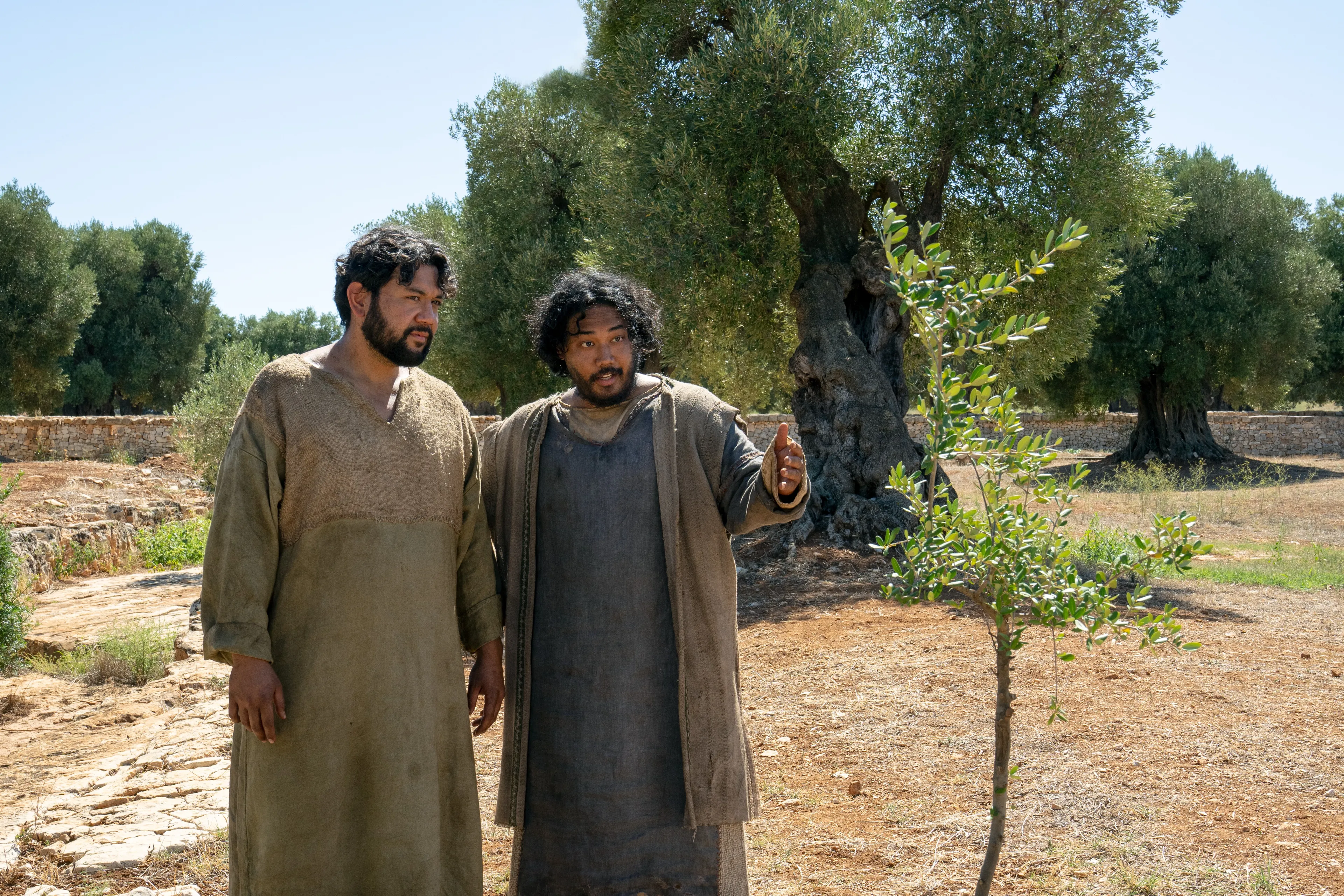 The Lord of the Vineyard and his servant go to the nether part of the vineyard to see that the planted branches have grown fruit. This is part of the olive tree allegory mentioned in Jacob 5.