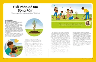 Trang PDF
