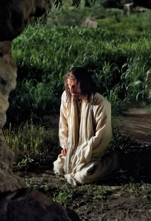 Matthew 26:36–56, Christ kneels to pray in the garden