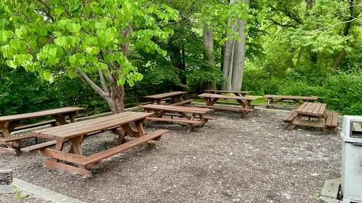 Picnic benches arranged together in a wooded area.