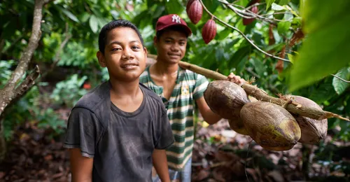 boys carrying coconuts