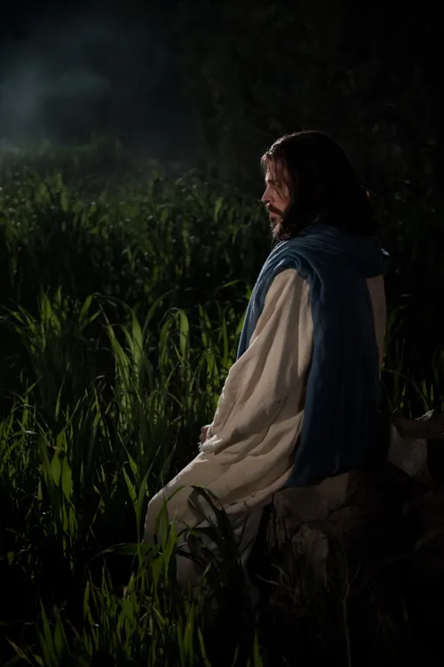 Matthew 26:36–56, Christ prays in the garden