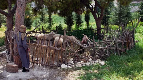 magbalantay sa karnero nagbantay sa karnero sa toril