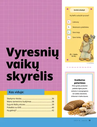 Pasakojimas PDF formatu