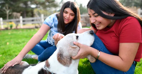 man leaving storm cellar