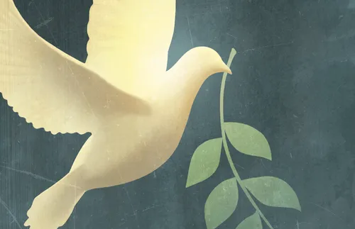 銜著樹枝的鴿子