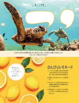 カメの写真とレモンの写真