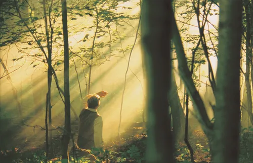 photo of reenactment of First Vision