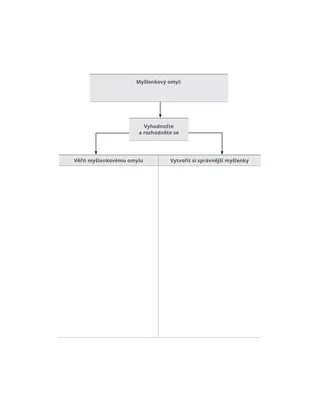 Schéma myšlenkového omylu