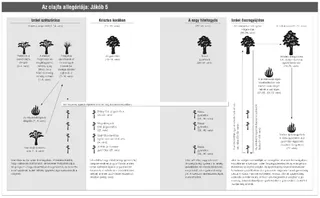 az olajfa példázata