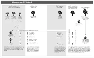 allegory of the olive tree