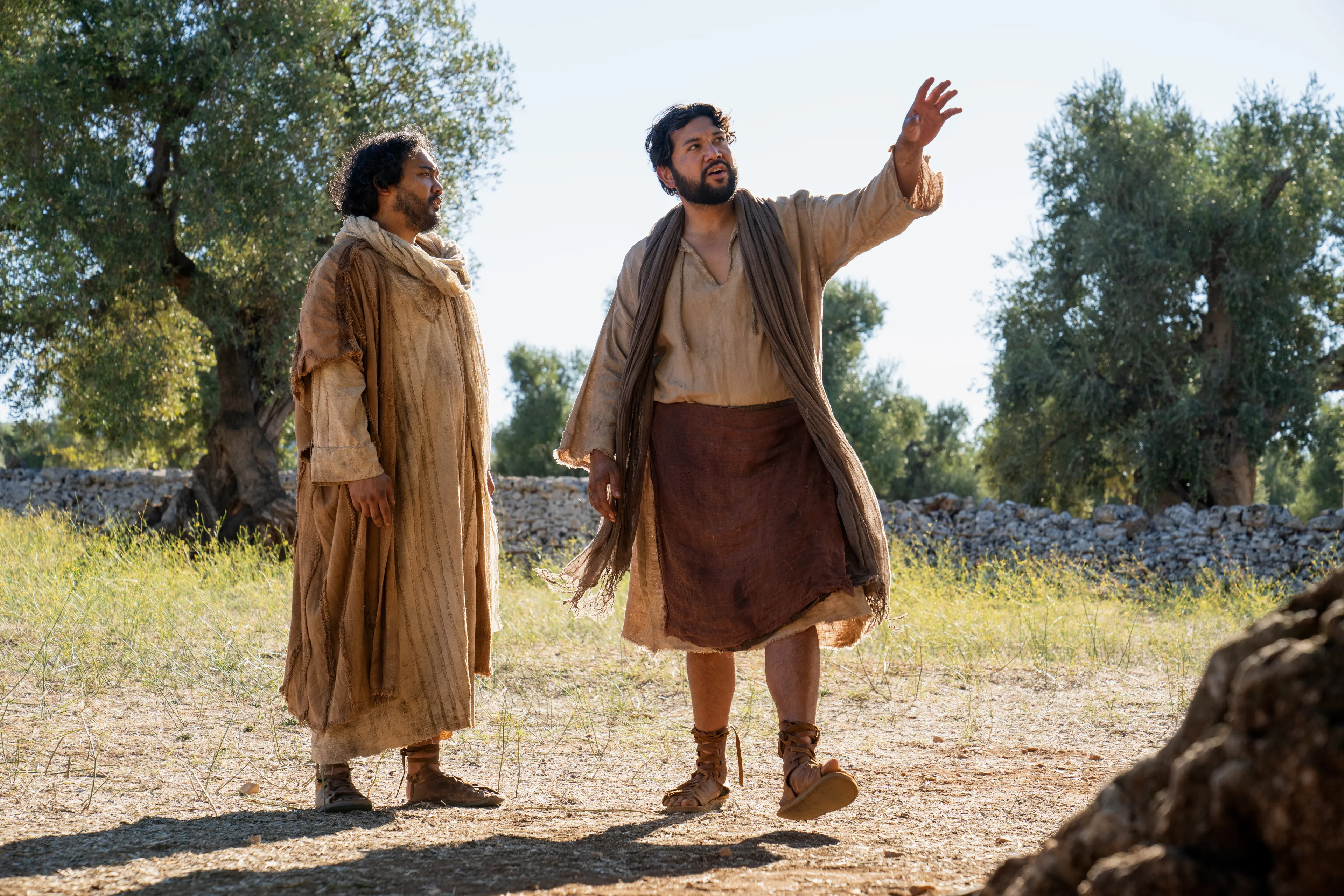 The Lord and Servant of the Vineyard speak about pruning and taking care of the olive trees. This is part of the olive tree allegory mentioned in Jacob 5.