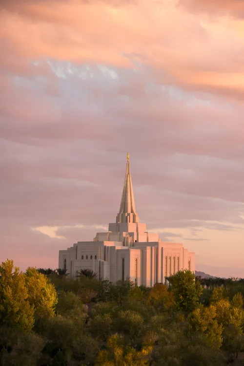 A view of the Gilbert Arizona Temple rising above the trees from afar in the late evening, with pink and orange light.