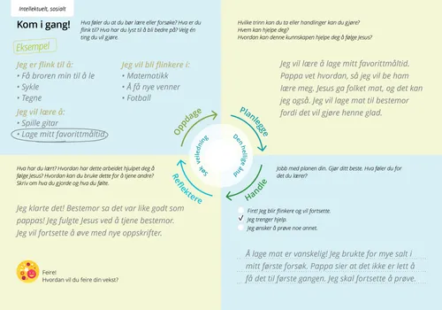 eksempel på et ferdig utfylt skjema