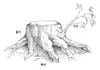 나무 그루터기 그림