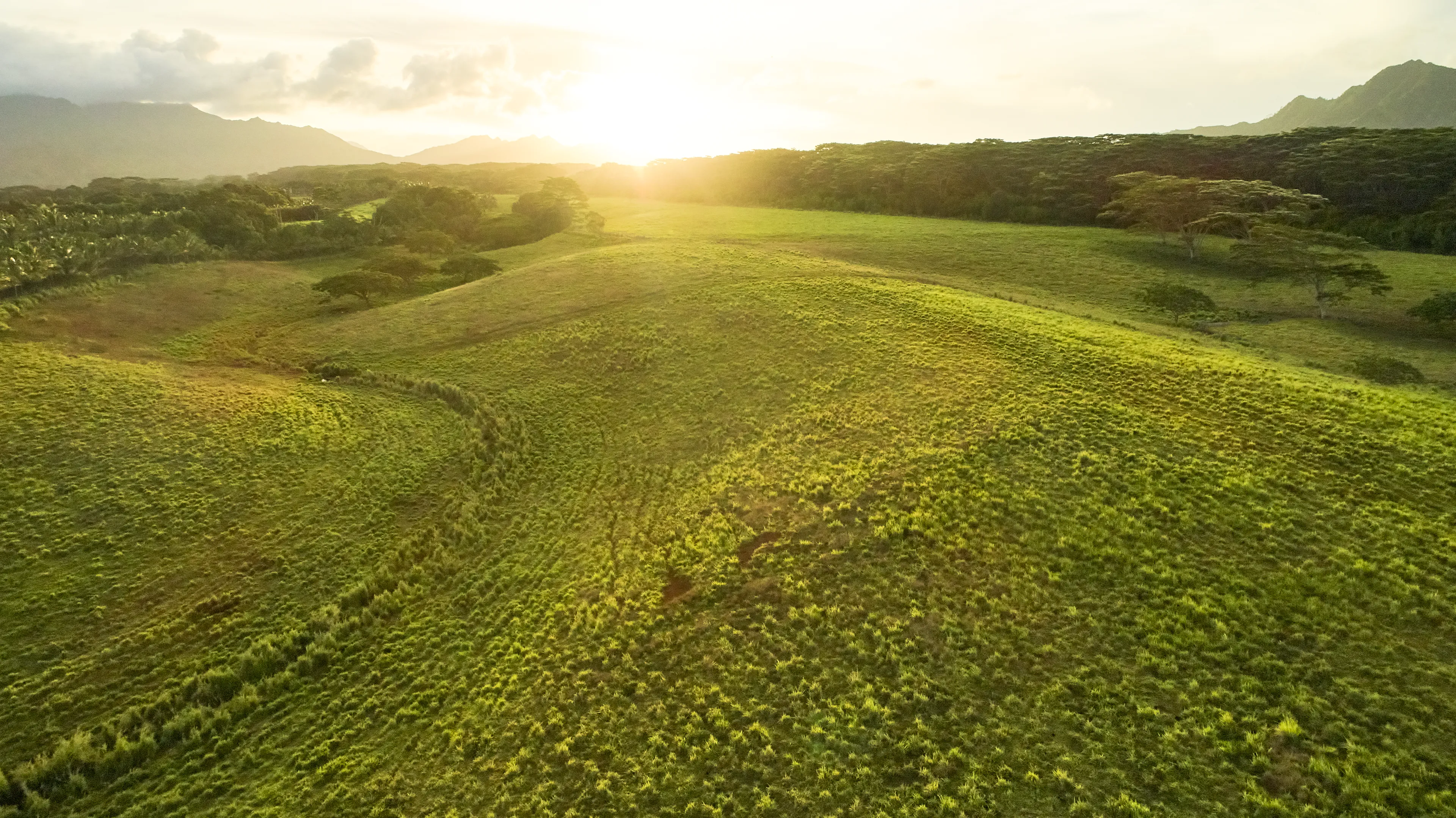 The land of Ishmael near the waters of Sebus.