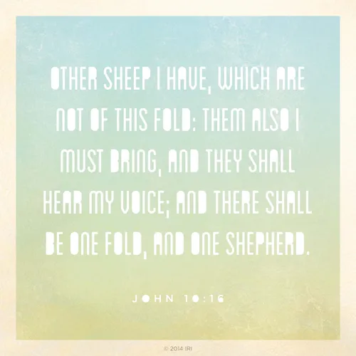 A yellow and blue gradient background with the text from John 10:16 printed on top.