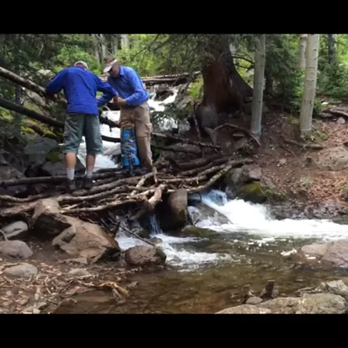 men crossing a log bridge