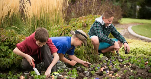 Young men plant flowers around Timpanogos Temple in Utah.