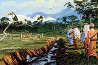 They find many animals