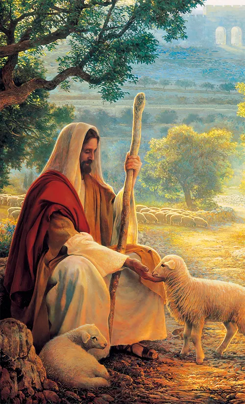 Jesus feeding His sheep