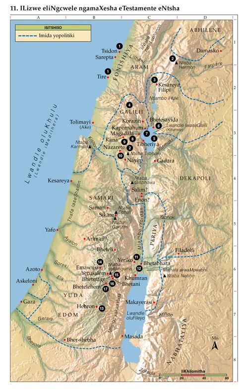 Imaphu yeBhayibhile 11