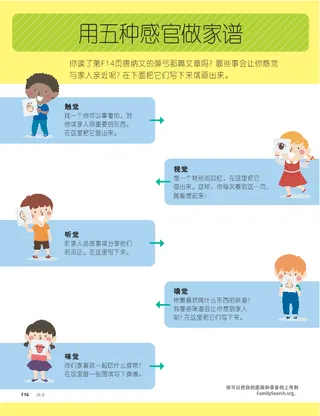 用五种感官做家谱