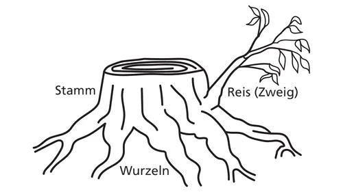 Darstellung eines Baumstumpfes