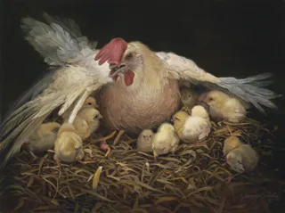 How Many Times, by Liz Lemon