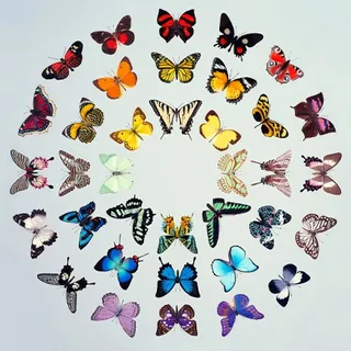 butterflies in circular pattern