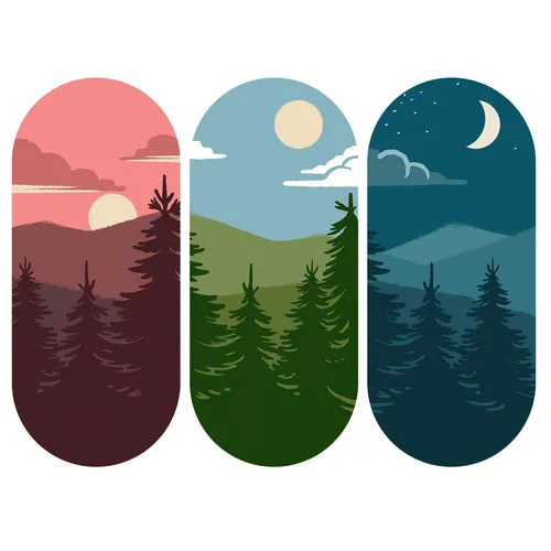 morning, midday, and night