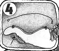 Make Your Own Brontosaurus