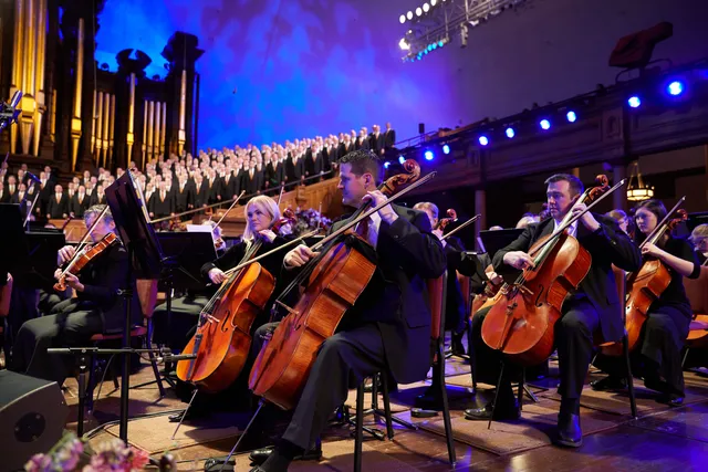 Various angles of individuals playing instruments in an orchestra.