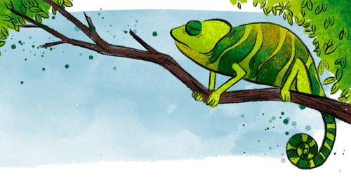 chameleon