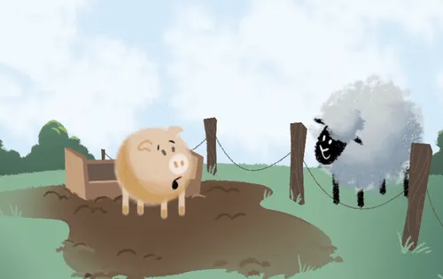 pig and sheep