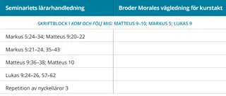 bild 1 av broder Morales lässchema
